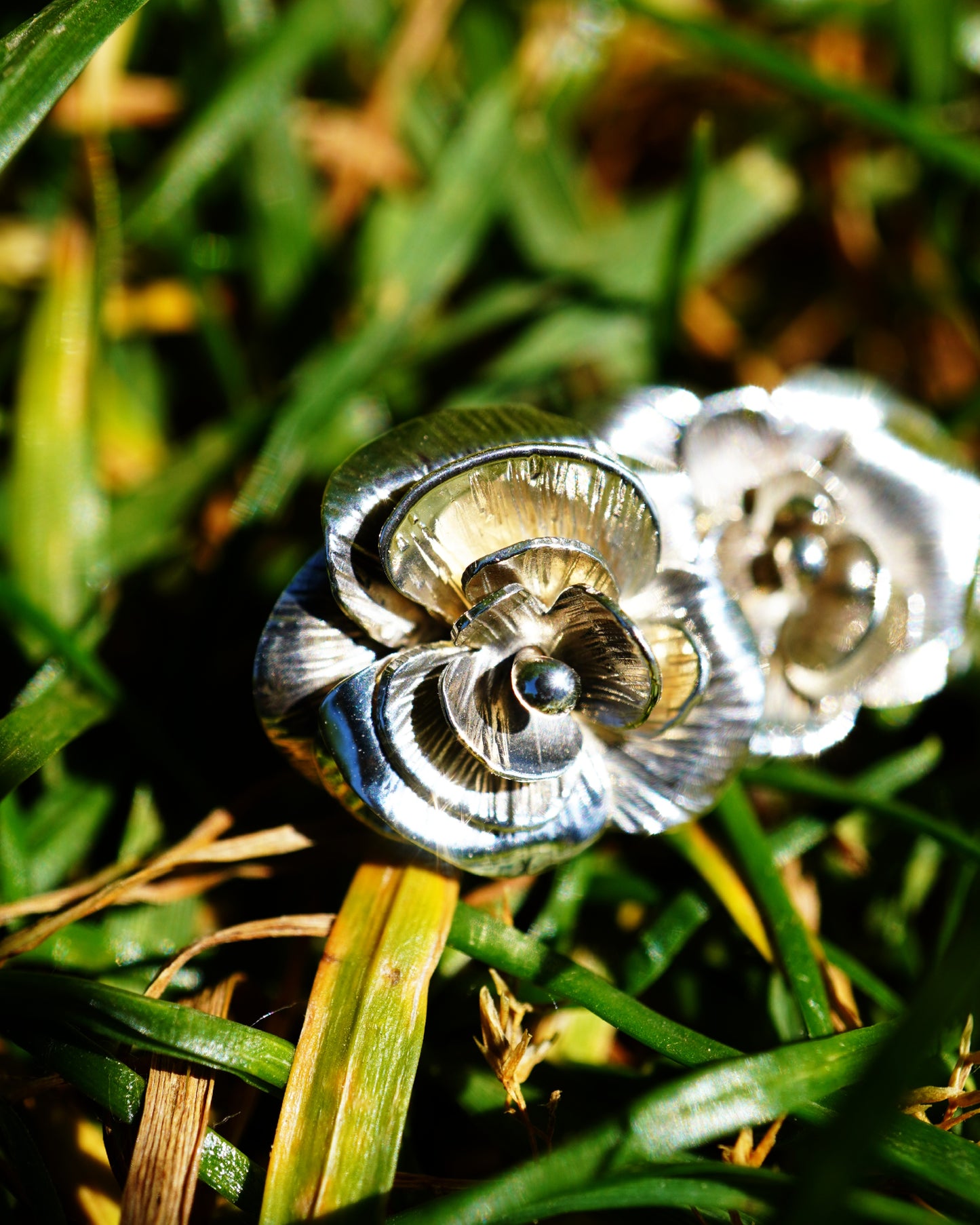 Boucles d'oreilles roses (argent 940 hypoallergénique)