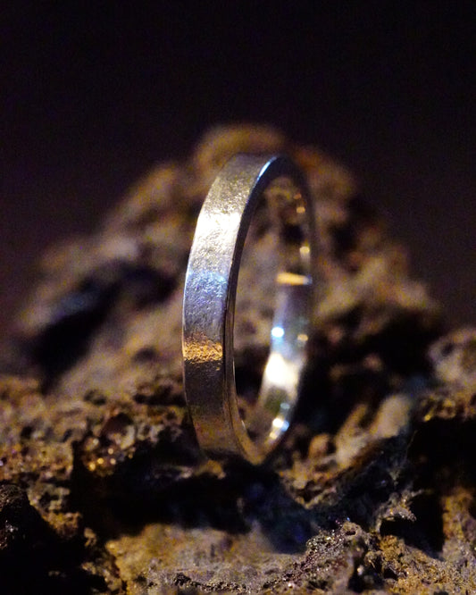 Modèle réticulée fine